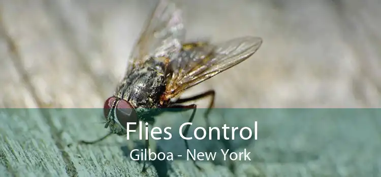 Flies Control Gilboa - New York