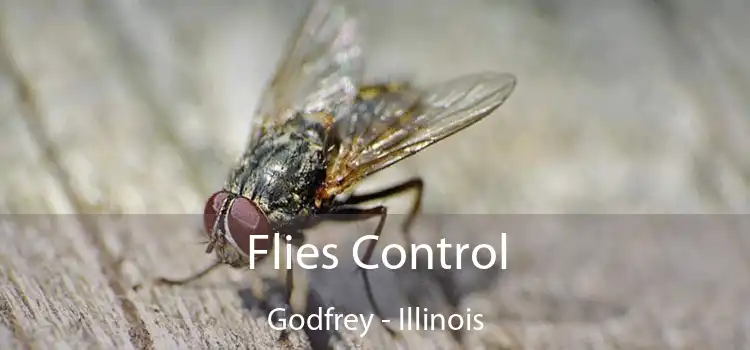 Flies Control Godfrey - Illinois