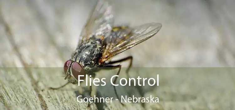 Flies Control Goehner - Nebraska