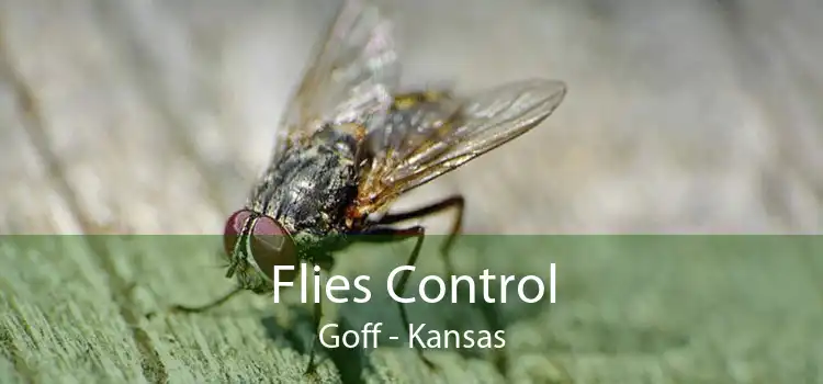 Flies Control Goff - Kansas