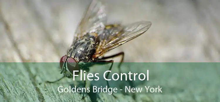 Flies Control Goldens Bridge - New York