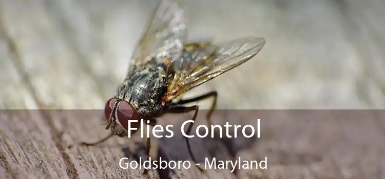 Flies Control Goldsboro - Maryland