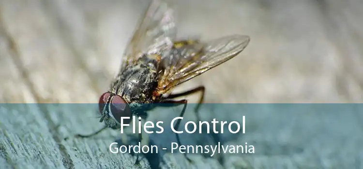 Flies Control Gordon - Pennsylvania