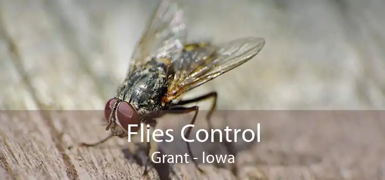 Flies Control Grant - Iowa