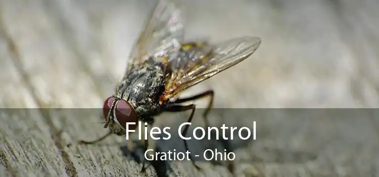 Flies Control Gratiot - Ohio