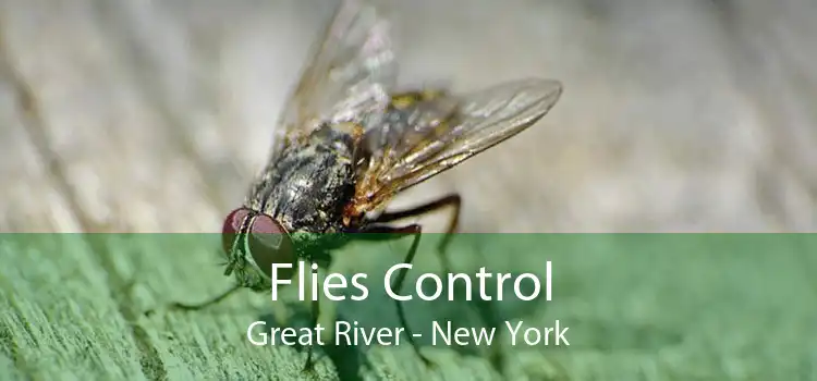 Flies Control Great River - New York