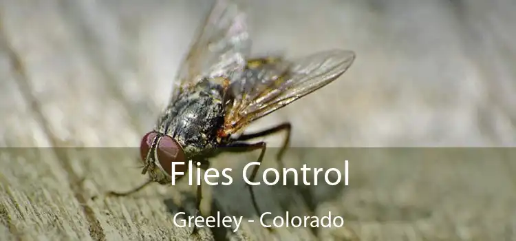 Flies Control Greeley - Colorado