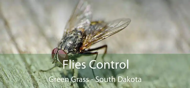 Flies Control Green Grass - South Dakota