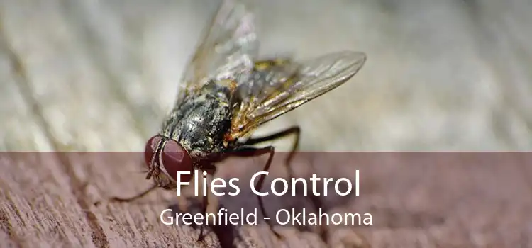 Flies Control Greenfield - Oklahoma