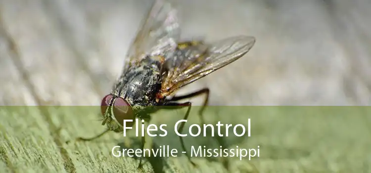 Flies Control Greenville - Mississippi