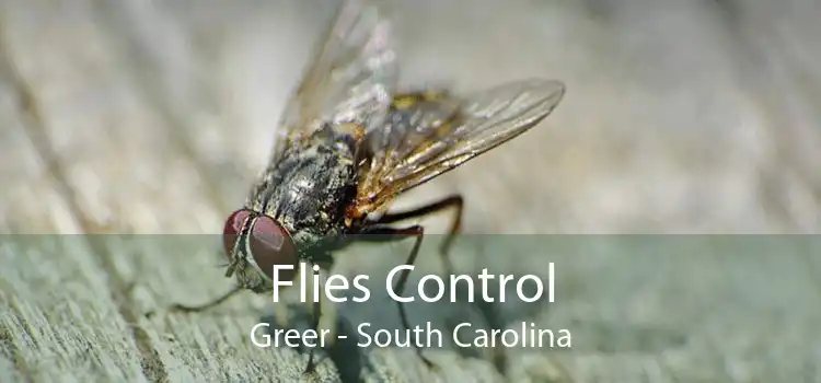 Flies Control Greer - South Carolina
