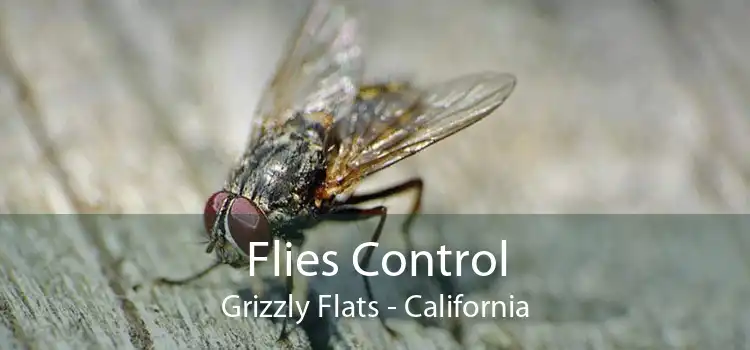 Flies Control Grizzly Flats - California