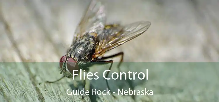 Flies Control Guide Rock - Nebraska