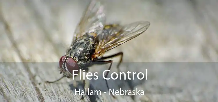 Flies Control Hallam - Nebraska