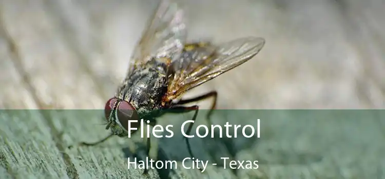 Flies Control Haltom City - Texas