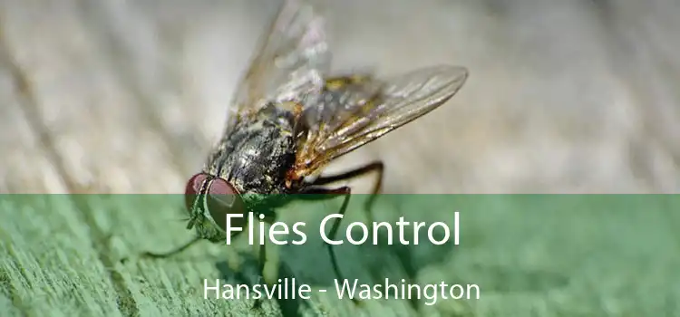Flies Control Hansville - Washington