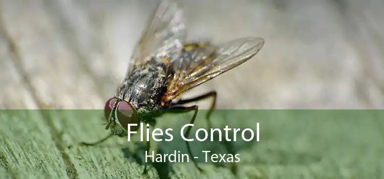 Flies Control Hardin - Texas