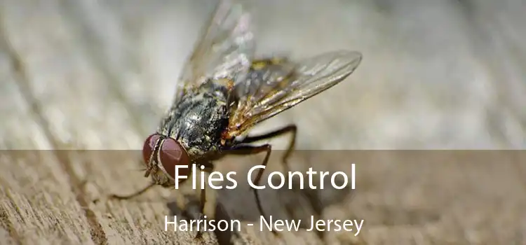 Flies Control Harrison - New Jersey