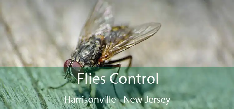 Flies Control Harrisonville - New Jersey