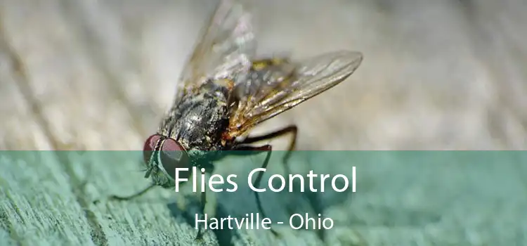 Flies Control Hartville - Ohio