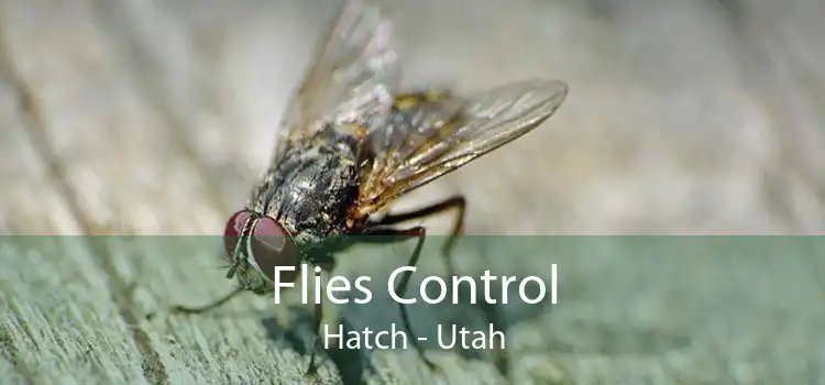 Flies Control Hatch - Utah