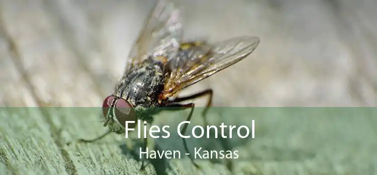 Flies Control Haven - Kansas