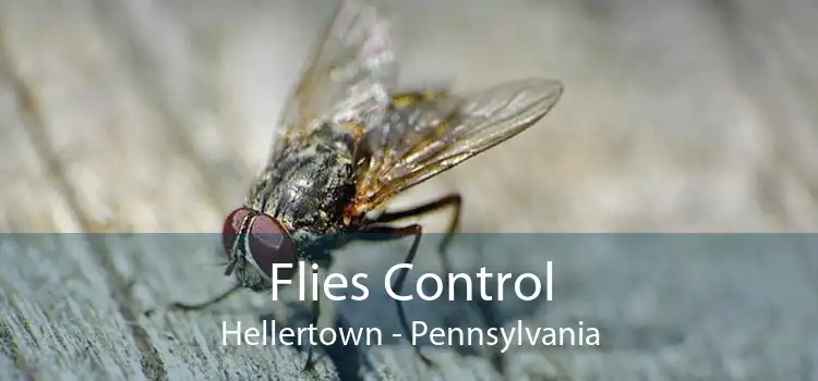 Flies Control Hellertown - Pennsylvania