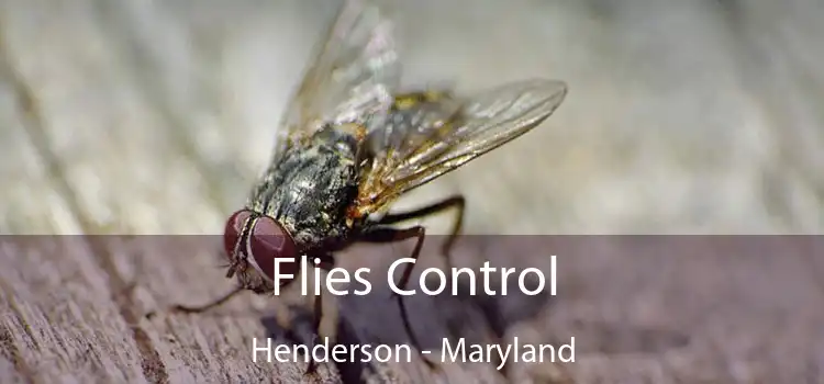 Flies Control Henderson - Maryland