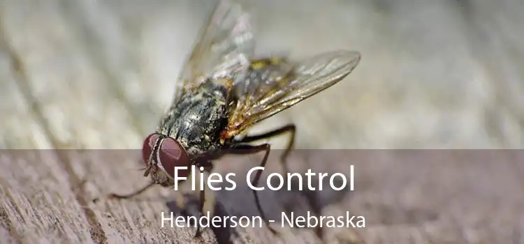 Flies Control Henderson - Nebraska