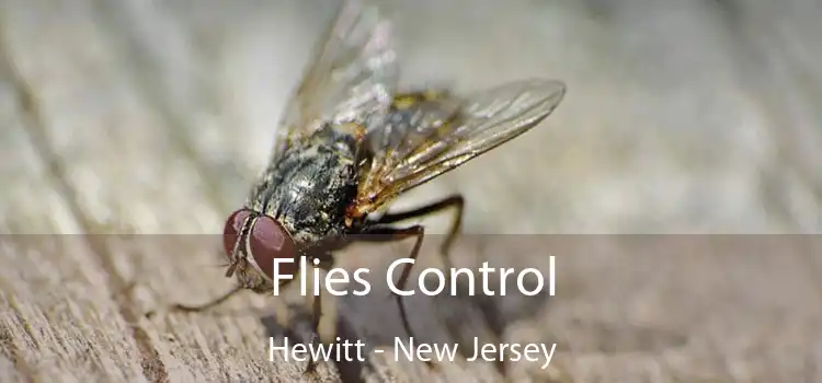 Flies Control Hewitt - New Jersey