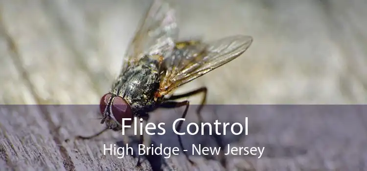 Flies Control High Bridge - New Jersey