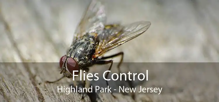 Flies Control Highland Park - New Jersey