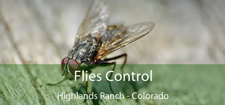 Flies Control Highlands Ranch - Colorado