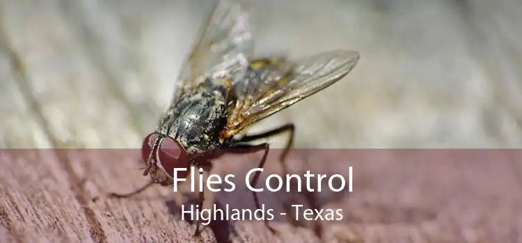 Flies Control Highlands - Texas