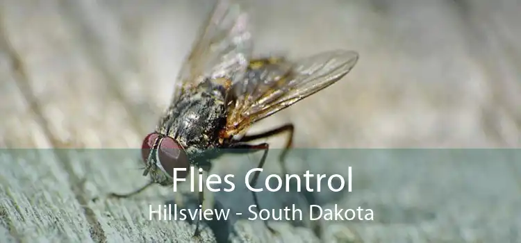 Flies Control Hillsview - South Dakota