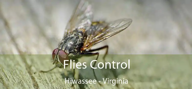 Flies Control Hiwassee - Virginia
