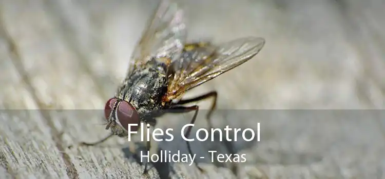Flies Control Holliday - Texas