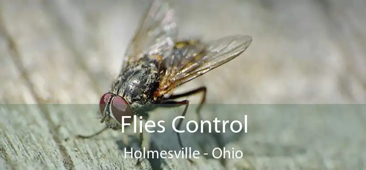 Flies Control Holmesville - Ohio