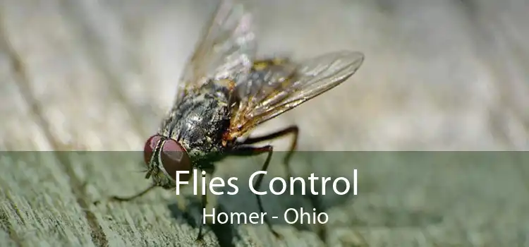 Flies Control Homer - Ohio