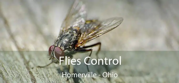 Flies Control Homerville - Ohio