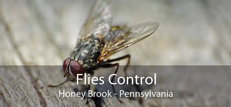 Flies Control Honey Brook - Pennsylvania