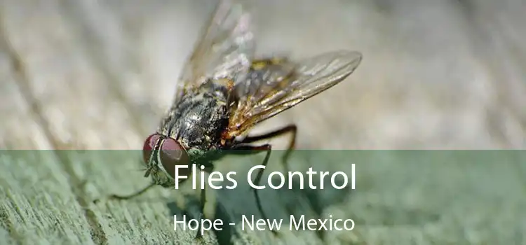 Flies Control Hope - New Mexico