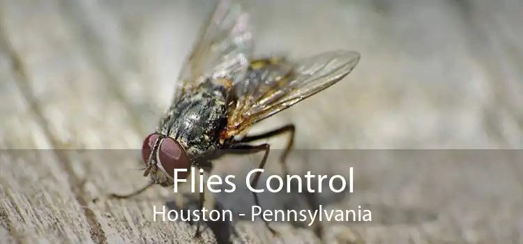 Flies Control Houston - Pennsylvania