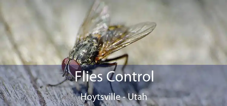 Flies Control Hoytsville - Utah