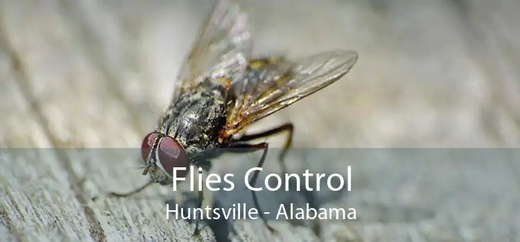 Flies Control Huntsville - Alabama