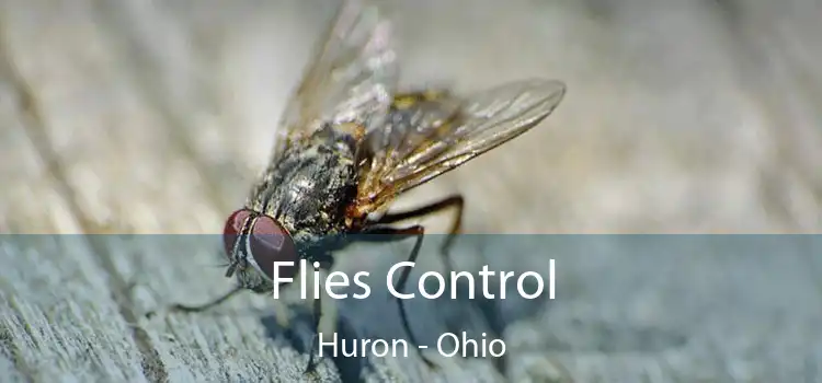 Flies Control Huron - Ohio