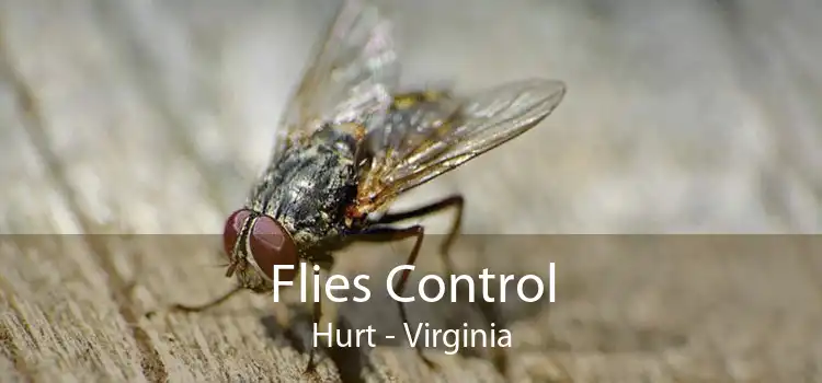 Flies Control Hurt - Virginia