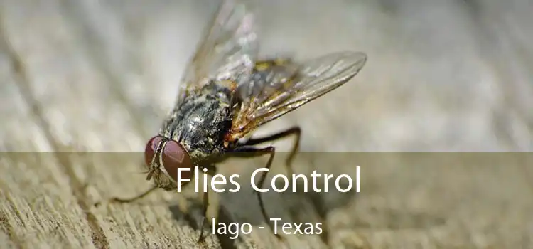 Flies Control Iago - Texas