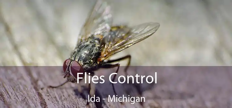 Flies Control Ida - Michigan