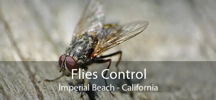 Flies Control Imperial Beach - California